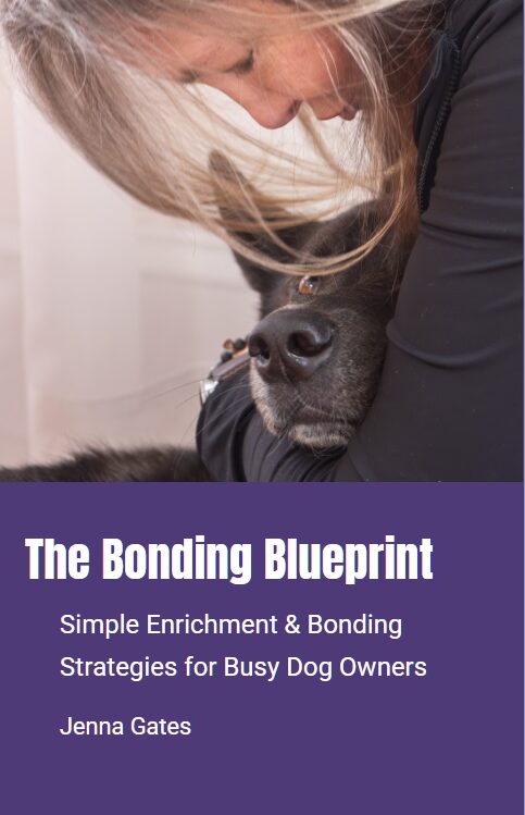 The Bonding Blueprint